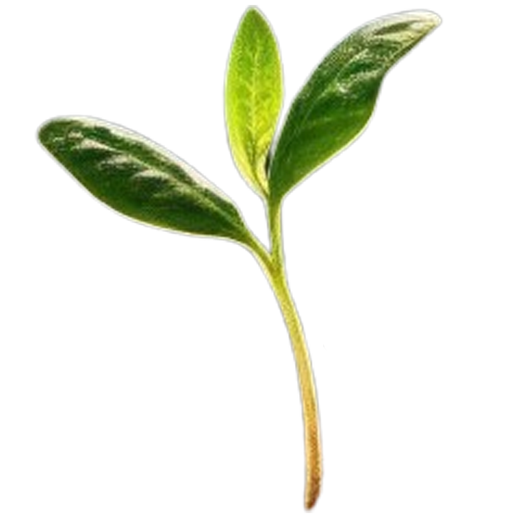007. ක්ලේශ දුරු කිරීමේ ධර්ම ඥානය